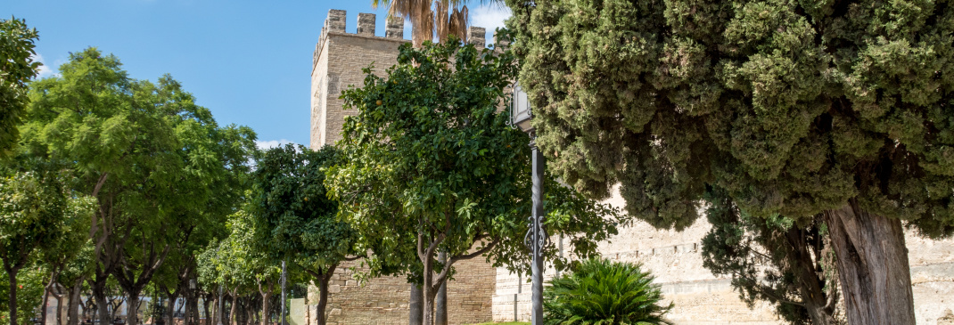 Conducir por el Aeropuerto de Jerez y alrededores